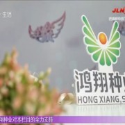 「全城热恋」走红十二年：一档地方综艺的启发