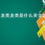 龙类龙类是什么英文歌
