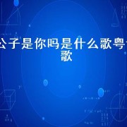公子是你吗是什么歌粤语歌