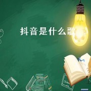 抖音是什么歌