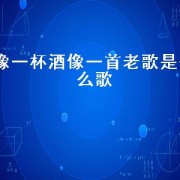 像一杯酒像一首老歌是什么歌