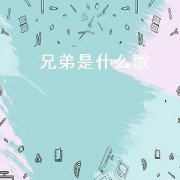 兄弟是什么歌