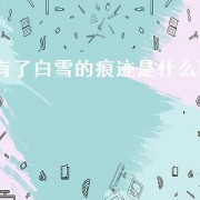 有了白雪的痕迹是什么歌
