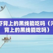 海虾背上的黑线能吃吗（河虾背上的黑线能吃吗）