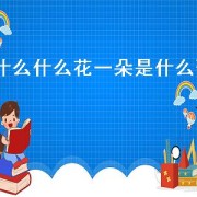 什么什么花一朵是什么歌