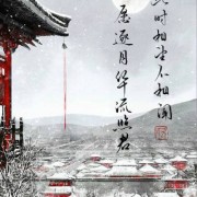 葬花吟赏析的诗词（葬花吟诗词意思）