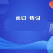 魂归 诗词（魂归诗词）