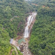 描写樱桃的优美诗词