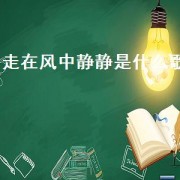 走在风中静静是什么歌（走在深秋的街道上是什么歌）