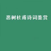 恶树杜甫诗词鉴赏（寒食古诗杜甫赏析）