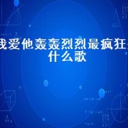 我爱他轰轰烈烈最疯狂是什么歌
