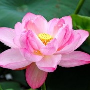 古代秋天的诗词（古代描写秋天的诗词）