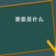 菱歌是什么