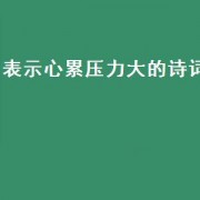 表示心累压力大的诗词