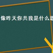 像昨天你共我是什么歌