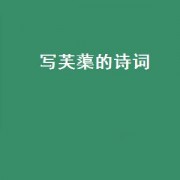 写芙蕖的诗词（写芙蕖的诗歌）
