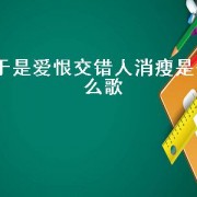 于是爱恨交错人消瘦是什么歌