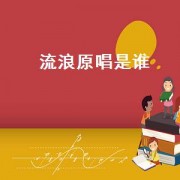 流浪原唱是谁（流浪原唱完整）