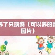 我养了只鹦鹉（可以养的鹦鹉图片）