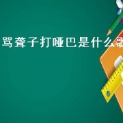 骂聋子打哑巴是什么歌（骂醒人的歌曲）