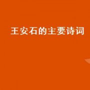 王安石的主要诗词（王安石的主要事迹概括）