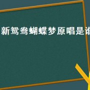 新鸳鸯蝴蝶梦原唱是谁（新鸳鸯蝴蝶梦是谁原唱的）