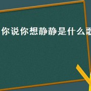 你说你想静静是什么歌（歌词里有你慢慢走远是什么歌）