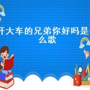 开大车的兄弟你好吗是什么歌