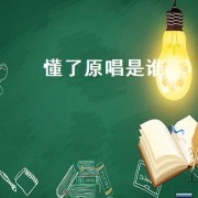 懂了原唱是谁