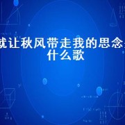 就让秋风带走我的思念是什么歌