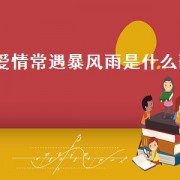 爱情常遇暴风雨是什么歌（爱情常遇暴风雨歌曲原唱）