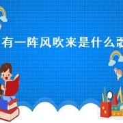 有一阵风吹来是什么歌