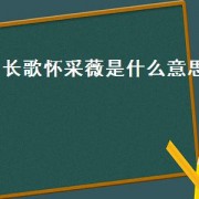 长歌怀采薇是什么意思（长歌怀采薇的采薇指的是什么意思）