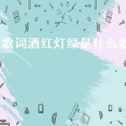 歌词酒红灯绿是什么歌