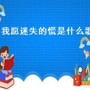 我愿迷失的慌是什么歌（内心的彷徨是什么歌）