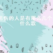 悲伤的人是有那么几个是什么歌