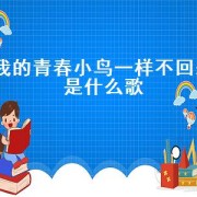 我的青春小鸟一样不回来是什么歌（我的青春像小鸟一样不回来原唱版）