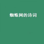 蜘蛛网的诗词（蜘蛛网的女孩在线免费观看）