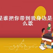 是谁把你带到我身边是什么歌