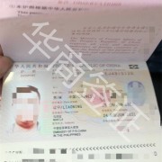 在菲律宾护照补办可以吗(护照补办最新攻略)