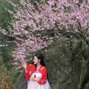 王沂孙的诗词
