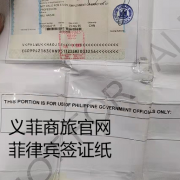在菲律宾怎么补办签证纸（签证纸补办费用）