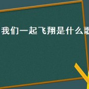 我们一起飞翔是什么歌（我们一起飞翔是什么歌）