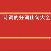 诗词的好词佳句大全