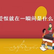 爱恨就在一瞬间是什么歌