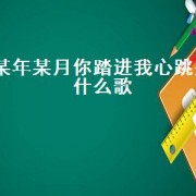 某年某月你踏进我心跳是什么歌
