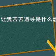 让我苦苦追寻是什么歌（歌词有让我认真走一遭是什么歌）