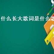 什么长大歌词是什么歌（长大了歌词）