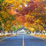 充满诗情画意的景点，《夏洛特烦恼》的取景地，忘记时间的地方