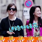 《极限挑战4》《高能少年团》收官，“新歌声”“新说唱”开播